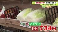 【野菜の価格最前線】長雨と日照不足で葉物が高騰…鍋に欠かせないハクサイ1玉734円「なかなか手が出ない」…ネギやキノコはお買い得 根菜類も安値なのでシチューも選択肢に〈北海道札幌市〉