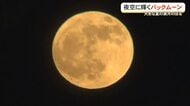 夏の夜空に輝く満月”バックムーン”とは
