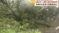 台風６号が奄美から県本土を直撃　停電３万戸超、交通機関も終日影響【鹿児島】
