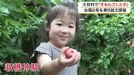 台風被害乗り越え　大和村で「すももフェスタ」開催　鹿児島