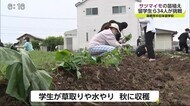 日本語学校に通う留学生がサツマイモの苗植えを体験【佐賀県鳥栖市】