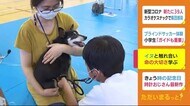 イヌと触れ合い イヌと人の心臓の音を聴き比べ 命の大切さ学ぶ 静岡・伊豆市