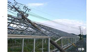 台風15号直撃から一ヶ月…なぜ東京電力の復旧見通しは二転三転したのか?
