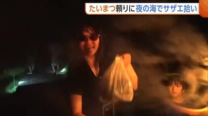 佐渡の夜の海で“サザエ”拾い体験！小石多い浅瀬に悪戦苦闘も…体験後は“つぼ焼き”に舌鼓「来てよかった」