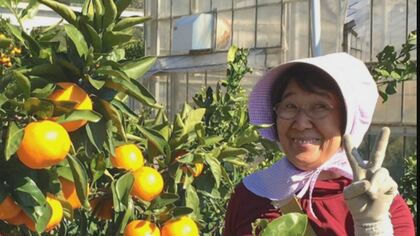 顔にはビニール袋も…出張から帰ると首にコード巻かれ死亡した母親 未解決のまま5年 息子夫婦の「なぜ」