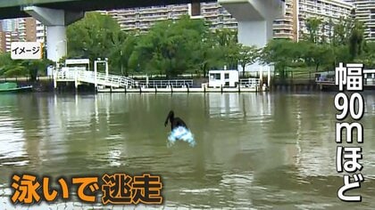 警察官が少年に話を…いきなり川にダイブ　泳いで逃走　警察も泳いで追跡するも追いつけず　大阪