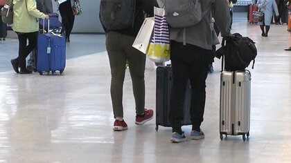 「ビジネス関係者の入国制限緩和 一時停止を」新型コロナ対策 自民党外交部会で意見相次ぐ