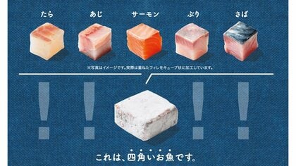 骨なし一口サイズの“四角いお魚”をイオンが発売…キューブ状のメリットを担当者に聞いた