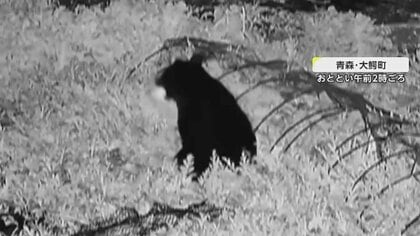 【住民恐怖】クマ出没相次ぐ「通報の数が異常」　畑のスイカを半分以上失う「夕暮れになると怖くて…」　青森・大鰐町