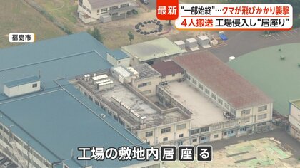 工場を次々と襲うクマ 敷地内に居座る 男性逃げ惑い引き倒される 専門