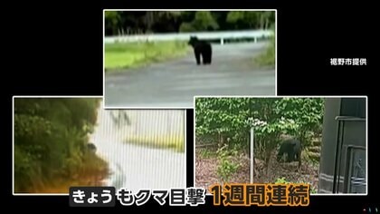 くわえて食べたみたい」飼い猫襲うクマ 屋根の上に6時間半居座り
