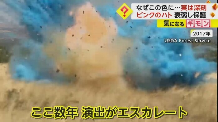 ここ数年、演出が過激化している