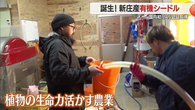 甚五右ヱ門芋から学んだ「植物の生命力を活かす農業」をリンゴ栽培にも応用