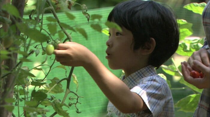 平成26(2014)年