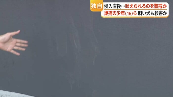 壁には、よじ登ったような足跡が…