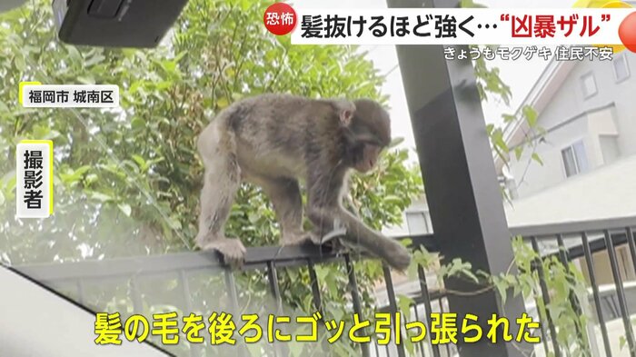 髪を引っ張られたという撮影者(FNN投稿サイト「ビデオPost」)