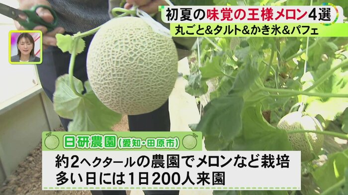 ニュースONE