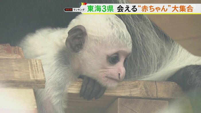 ニュースONE