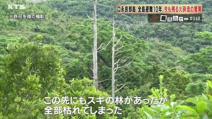 今も残る火砕流の爪痕