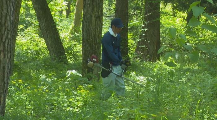 クマ対策の環境整備(2024年、大町市)