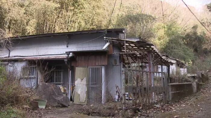 遺体が見つかった東大阪市の山中