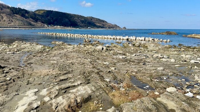 震災で隆起した袖ヶ浜（2025年3月撮影）