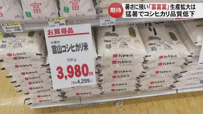 猛暑の影響でコシヒカリが値上がり…