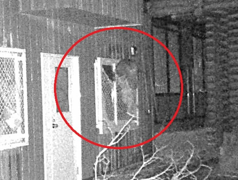 【ヒグマの写真あり】円山動物園『破壊した窓枠にしがみつくクマ』シマフクロウ用の「ヒヨコ・ホッケ」強奪か？エサの味覚えて”連続出没”の可能性も…周辺も出没止まらず円山公園は『閉鎖』に〈北海道〉｜FNNプライムオンライン