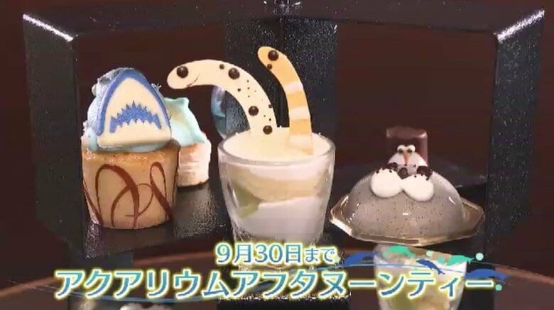 ホテルと水族館がコラボ「アクアリウムアフタヌーンティー」　実在する水族館の人気者たちをモチーフにしたグルメ　土日祝限定で”海の生き物スイーツ”ビュッフェも　9月まで　福岡市｜FNNプライムオンライン