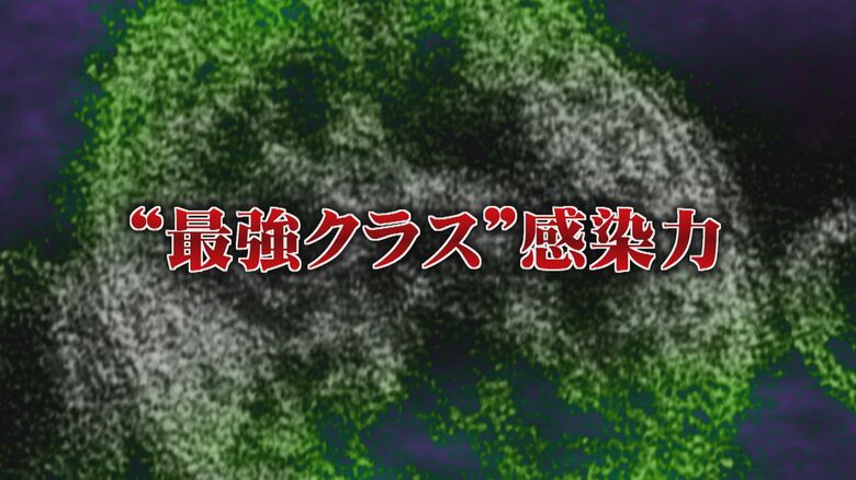 脳炎や肺炎などの合併症を引き起こす恐れ『はしか』 “最強クラス”とされる感染力 成人もワクチン接種を 【福岡発】｜FNNプライムオンライン