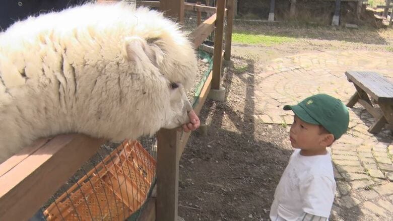 テーマパークが復活！芝すべりやゴーカート、アルパカやヤギとふれあいも　コロナ禍に閉園も…「再開してほしい」小学生が市長に提案　　新たにドッグランやワイナリーも整備｜FNNプライムオンライン
