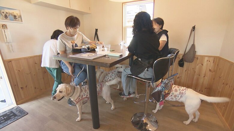 ワンちゃん向けの特別メニューを用意…大型犬も一緒に過ごせる“ドッグカフェ風の蕎麦店”「わん蕎庵」｜FNNプライムオンライン