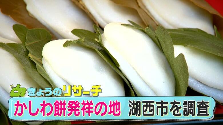 「かしわ餅」発祥の地は静岡・湖西市だった!?　豊臣秀吉が絶賛したという伝承は本当か？徹底調査｜FNNプライムオンライン