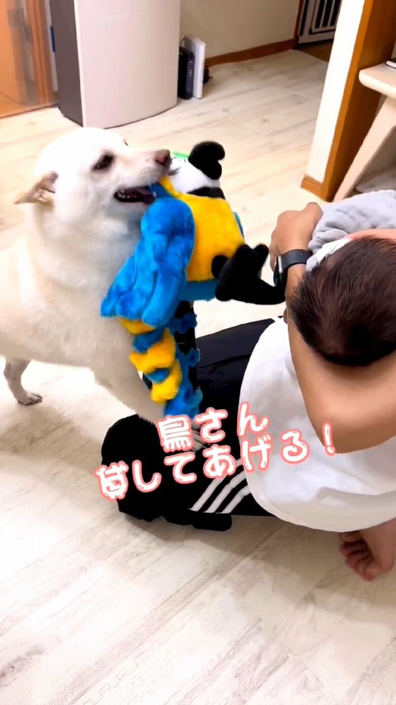 「鳥さん貸してあげる！」