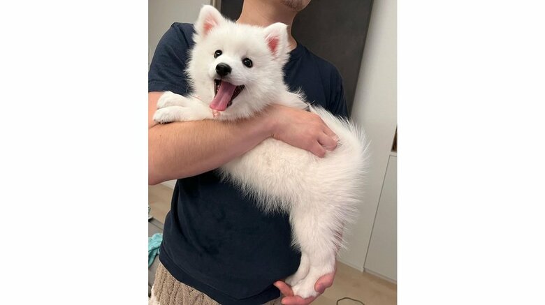 これからの成長が楽しみだ