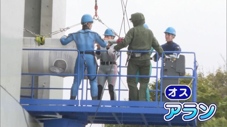 アラン（オス）