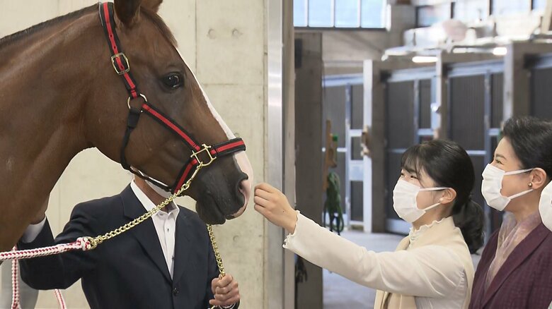 伊勢神宮で「神馬」となった本勇号と対面　2023年10月