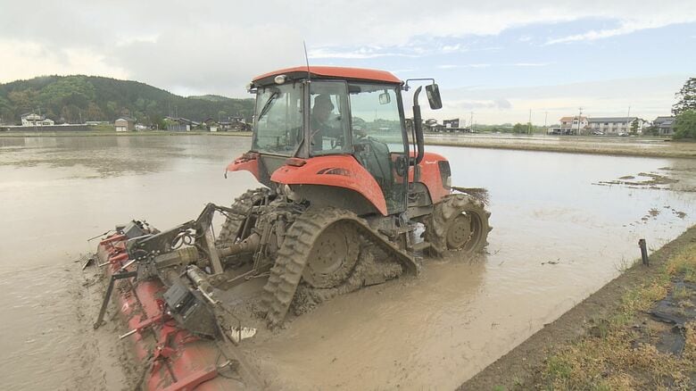 代かきをする中垣内さん