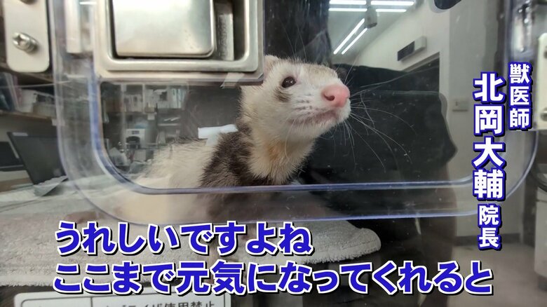 元気を取り戻した