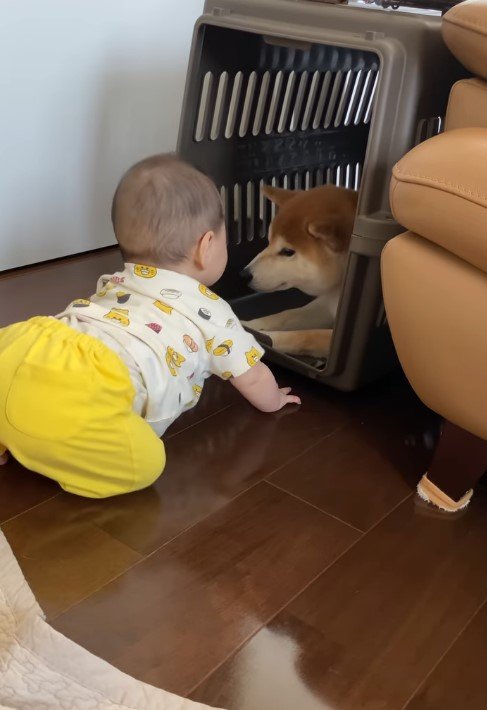 提供：torakichi602さん