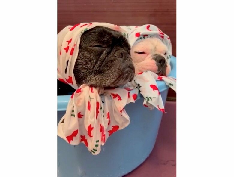 お風呂でウトウト（提供：天使の笑顔さん）