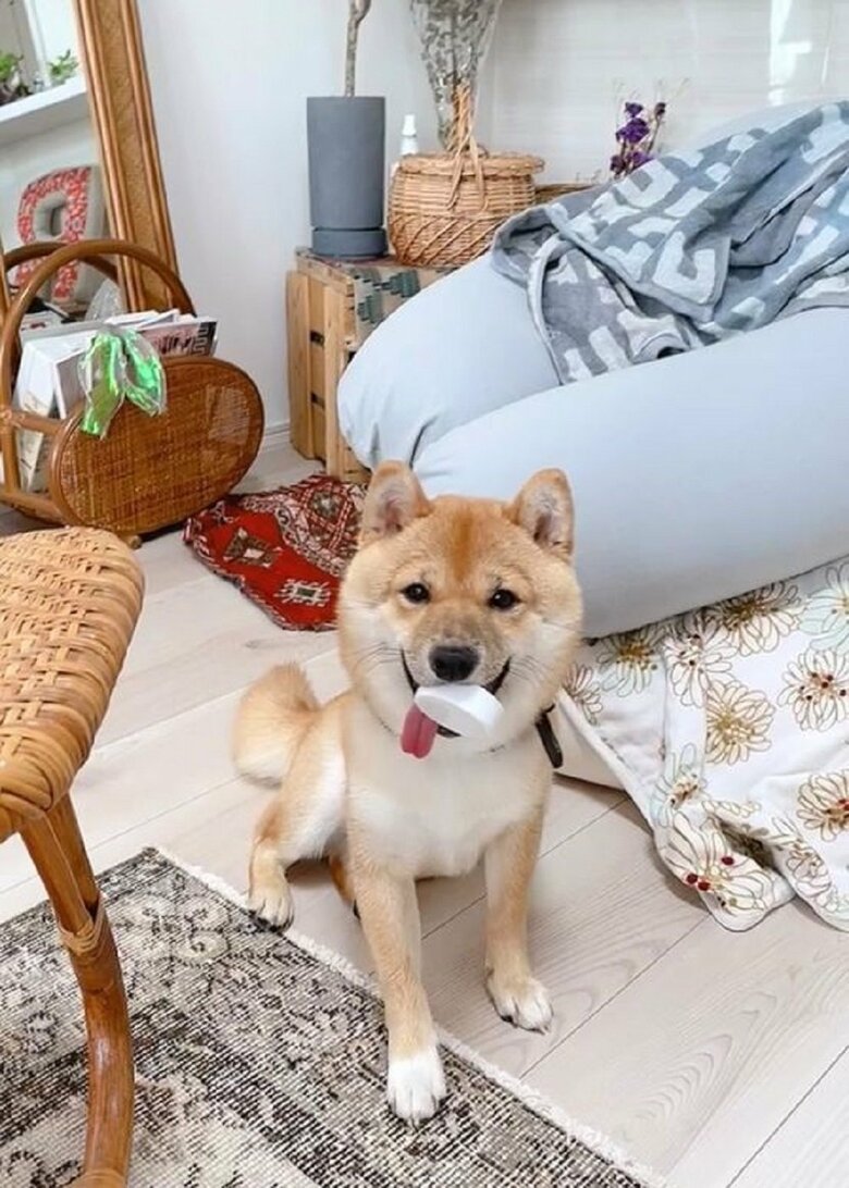 様子をうかがっている？
