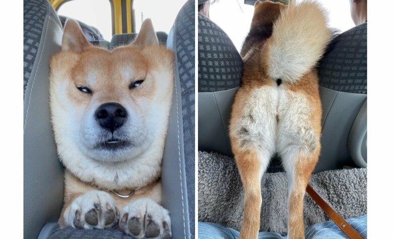 後ろ姿もかわいい