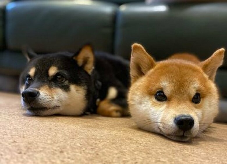 まったり