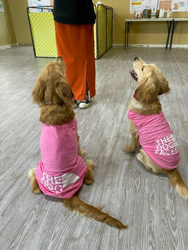 提供：関口和也さん