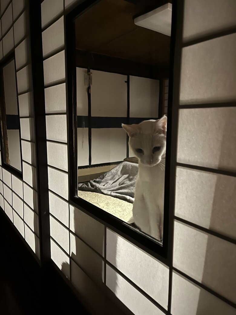 提供：いのうえもんぺさん