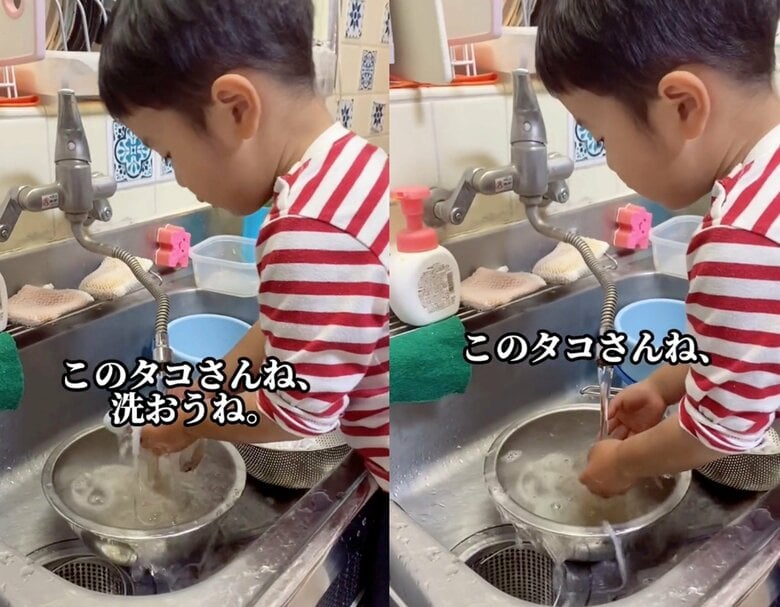 汚いからタコさん洗おうね（提供：あらかわキッズさん）
