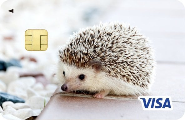 提供：株式会社エポスカード