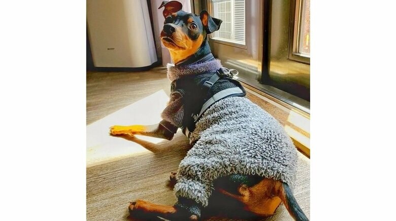 ひなたぼっこ中