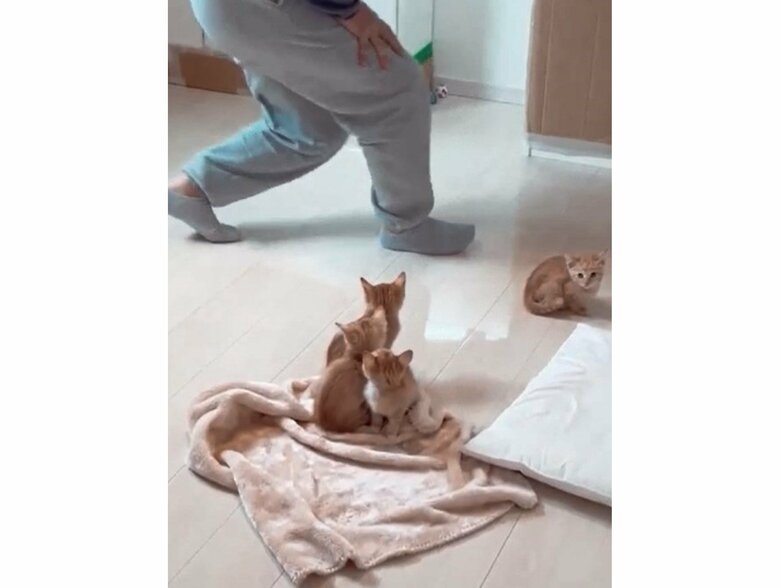 提供：oimo210さん